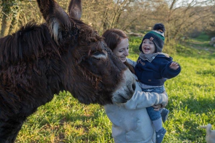 E-bike Tour to Alberobello with Visit to a Donkey Farm