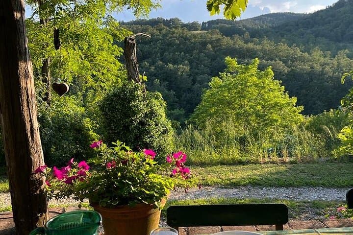 Terrazza view
