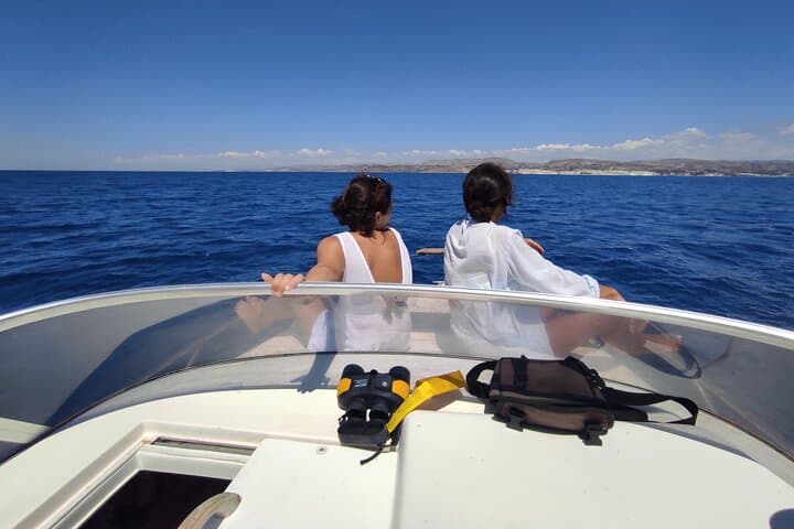 4 Hours Dolphin Watching Tour in Porto Empedocle