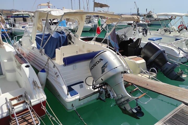 4 Hours Dolphin Watching Tour in Porto Empedocle