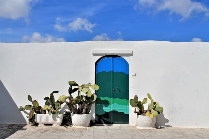 e-bike tour in the plain of the secular olive trees of Ostuni