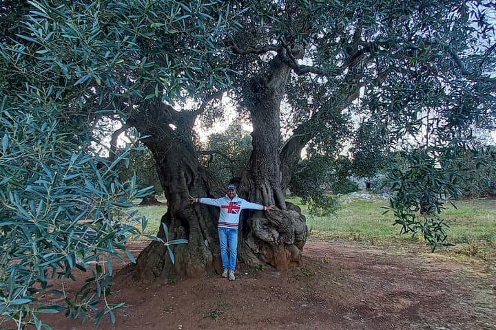 e-bike tour in the plain of the secular olive trees of Ostuni