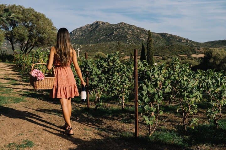 Gallura Winery with Wine Tasting in Olbia
