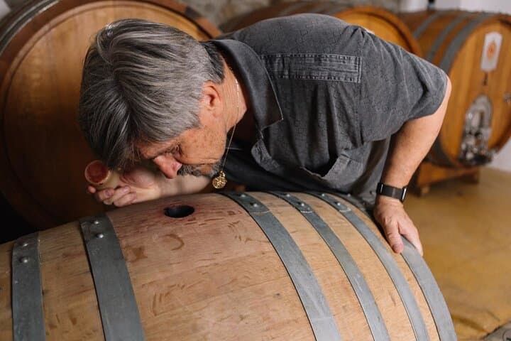 Gallura Winery with Wine Tasting in Olbia