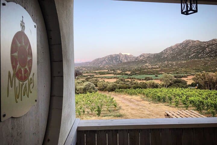 Gallura Winery with Wine Tasting in Olbia