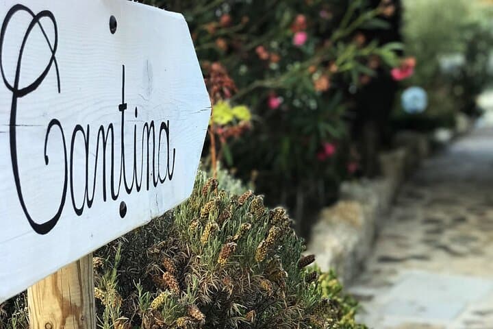 Gallura Winery with Wine Tasting in Olbia