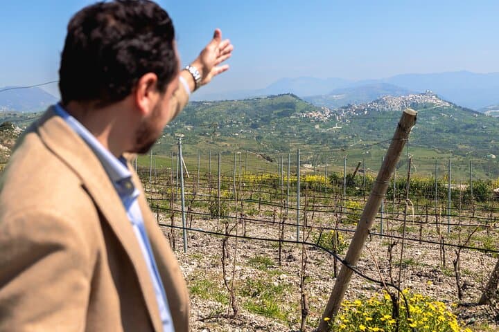 Di Giovanna Winery Tour & 3 Wine Tasting