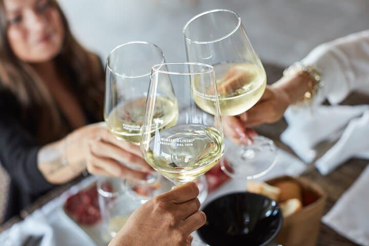 E-Bike tour and Wine tasting from Desenzano Inland