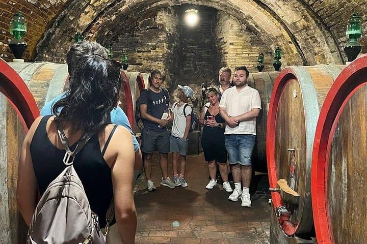 Siena, Cortona, Montepulciano & Val D'Orcia – Minivan Tour, Max 8