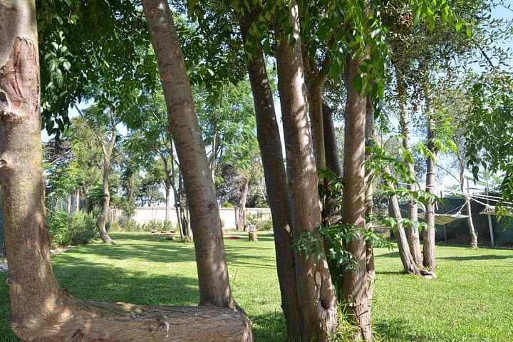 Quad-experiential tour - between Marsala and Mazara