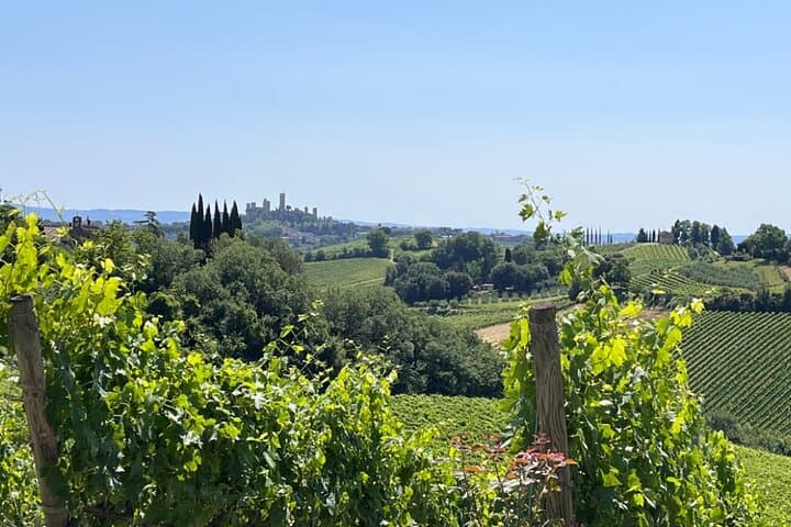 Rome to Florence & Tuscany by High-Speed Train & Winery Tasting