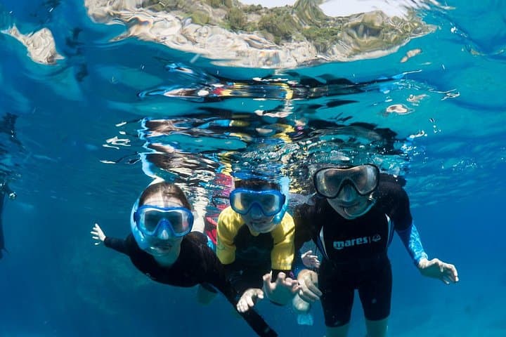 Sorrento 3 - Hour Afternoon Snorkel by RIB with Marine Biologist