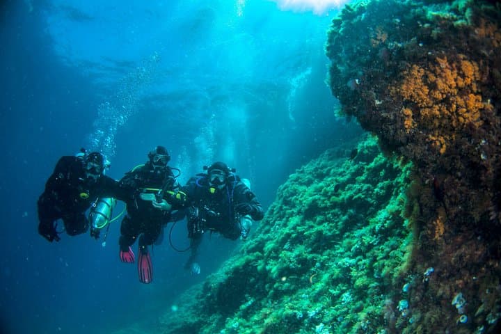 Discover Sorrento Underwater: 3 - Hour PADI Afternoon Try Dive