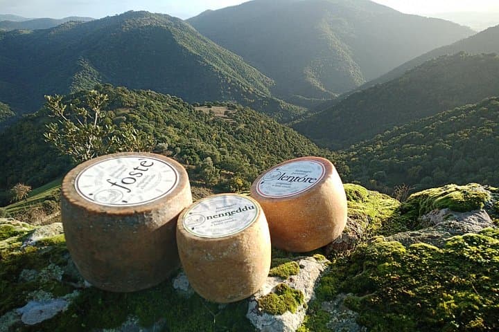Raw Milk Cheese Tasting in the heart of Sardinia