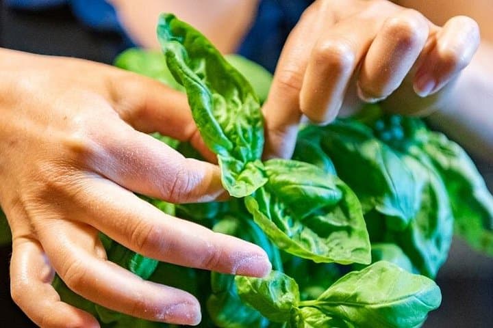 Matera: Sassi Farmer's Pasta Class in an Ancient Wine Cellar