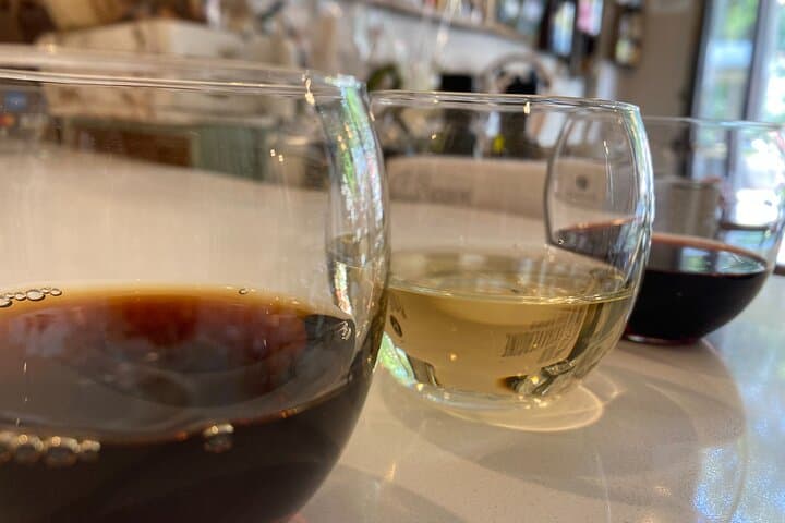 Historic Vermouth Tasting & Aperitivo Experience in Turin