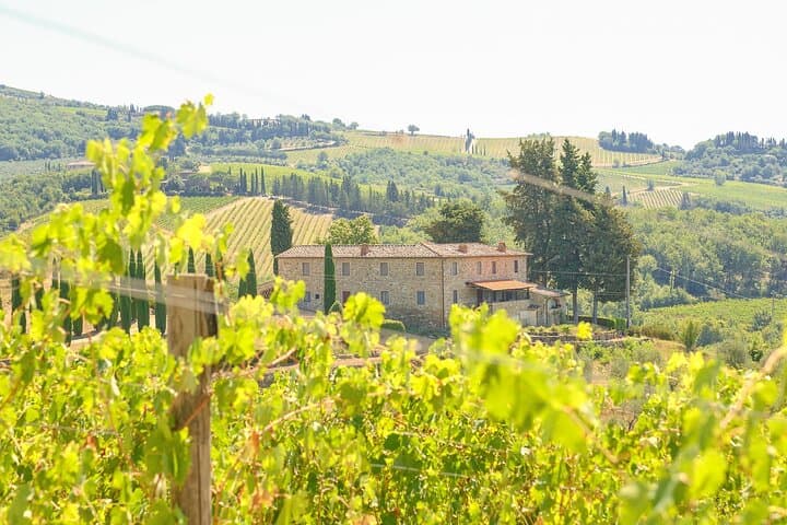 Florence: Private Full-Day Chianti Tour and Winery Lunch Optional