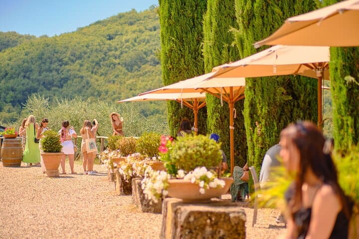 Half day Chianti Vineyard Escape from Florence with Wine Tastings