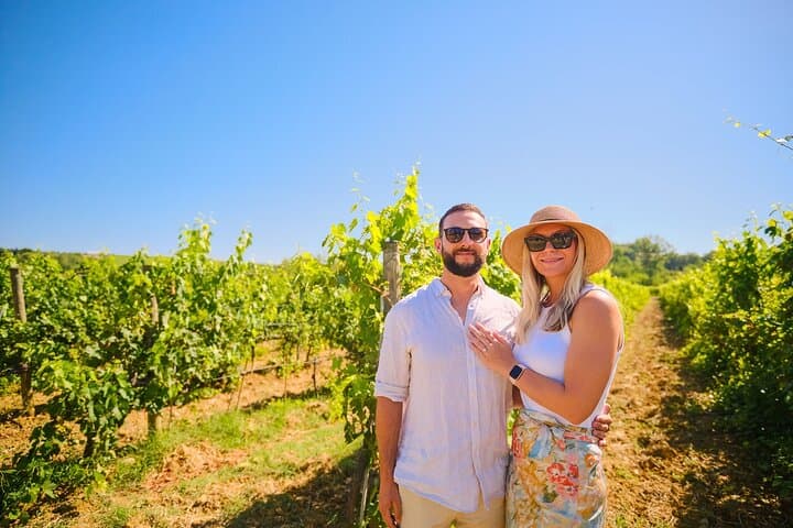 Private Tuscany Tour from Florence Including Siena, San Gimignano and Chianti Wine Region