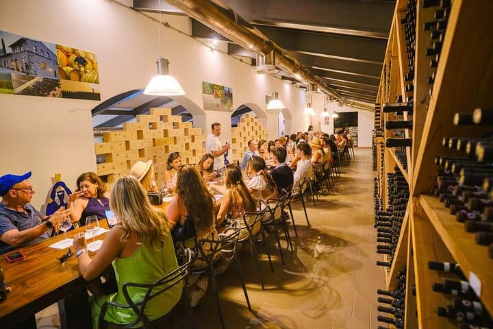 Half day Chianti Vineyard Escape from Florence with Wine Tastings