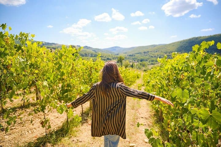 Half-day Tour to San Gimignano with Picnic Lunch & Chianti Wine