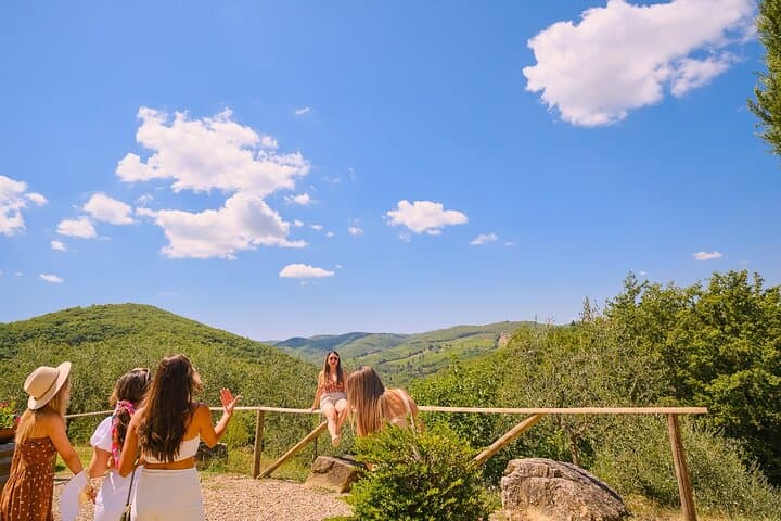 Florence: Private Full-Day Chianti Tour and Winery Lunch Optional