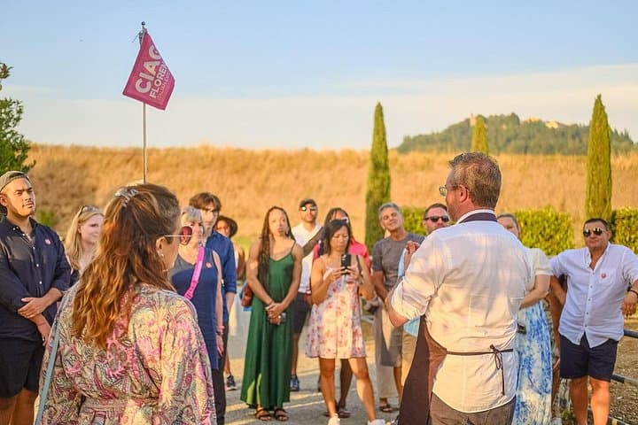 Chianti Delights: Tuscan Tale Of 2 Wineries With Vineyard Dinner