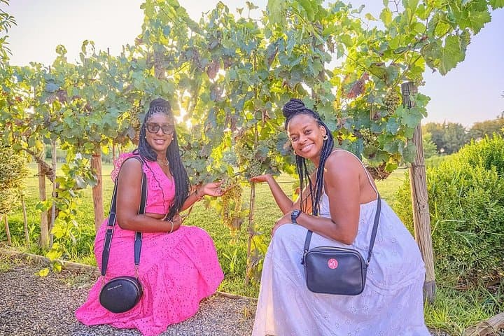 Exclusive Winery Tour with Tasting and Dinner in Chianti vineyard