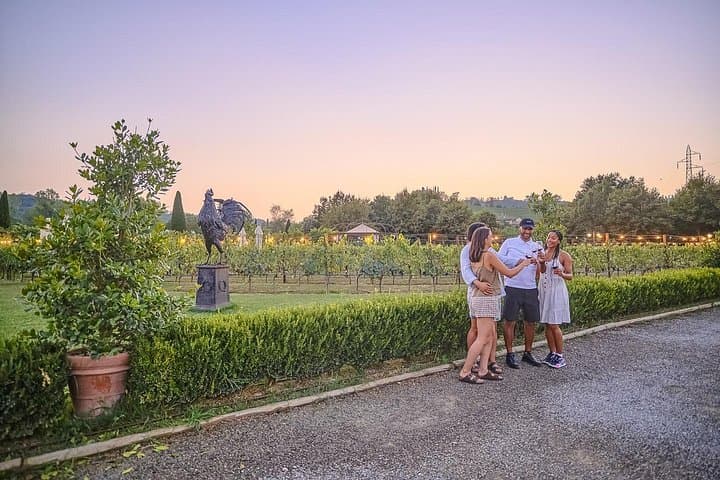 Exclusive Winery Tour with Tasting and Dinner in Chianti vineyard