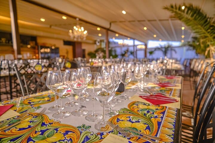 Exclusive Winery Tour with Tasting and Dinner in Chianti vineyard