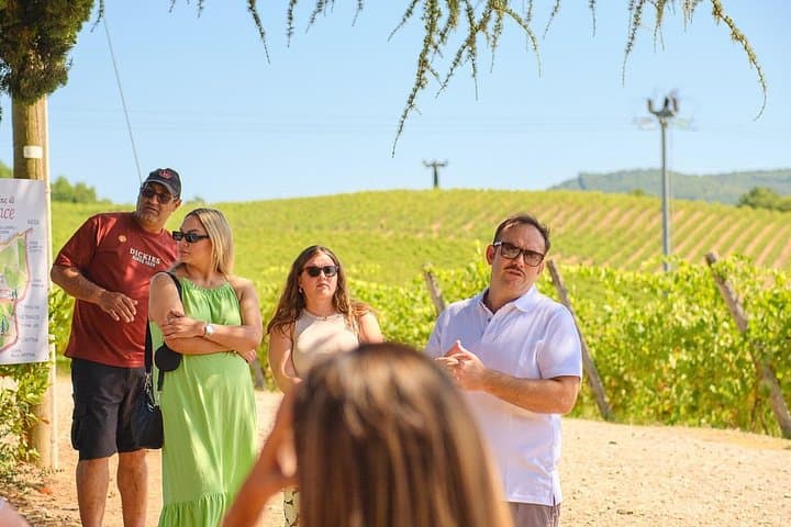 Half-day Tour to San Gimignano with Picnic Lunch & Chianti Wine