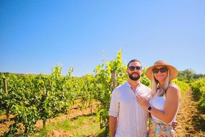Florence: Private Half-Day Chianti Tour and Wine Tasting Optional