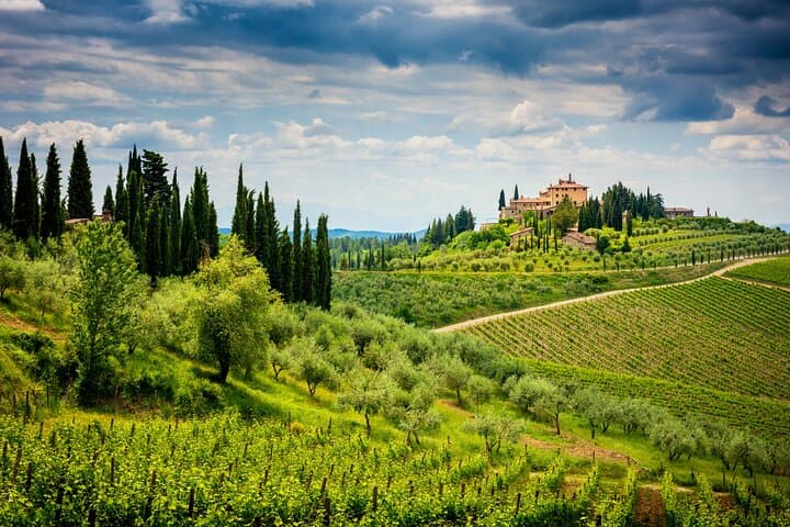Florence Wine Tasting Tour with a Private Wine Expert