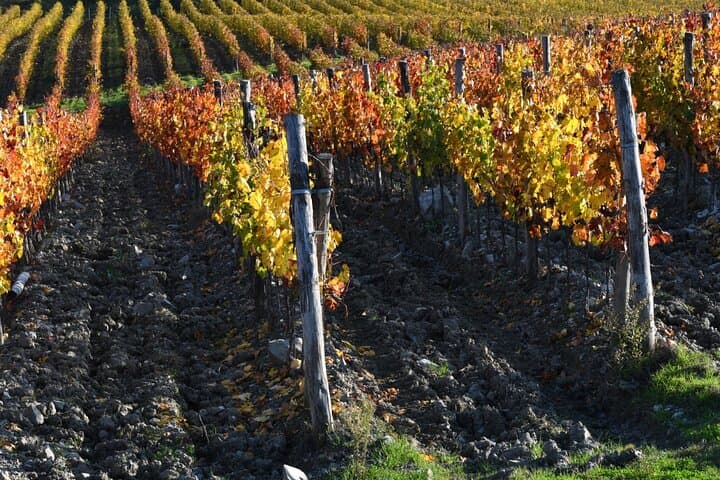 Chianti Wine Tour from Florence to San Gimignano with 2 Wineries