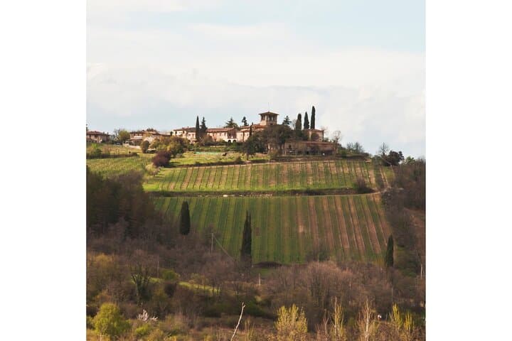 Chianti Wine Tour from Florence to San Gimignano with 2 Wineries