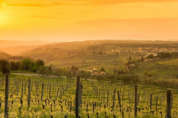 Chianti Wine Tour from Florence to San Gimignano with 2 Wineries