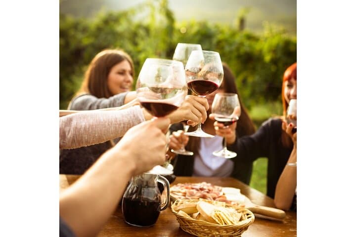 Chianti Wine Tour from Florence to San Gimignano with 2 Wineries