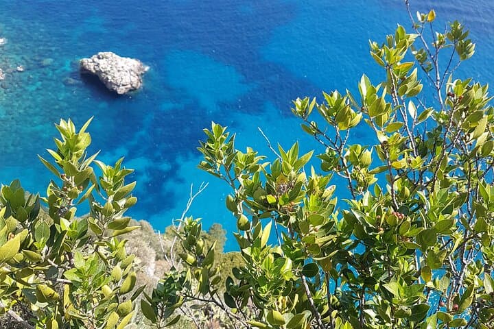 Capri Full-Day Tour from Rome with Private Island Boat Tour