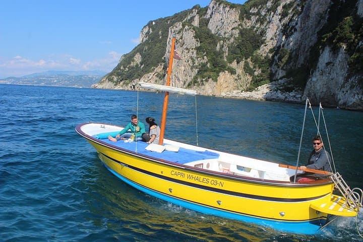 Capri Half Day Private Boat Tour(4 hours)+Blue Grotto