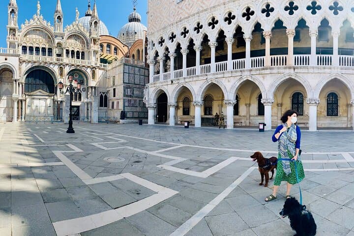 2 Hours Private Guided Tour of the Doge's Palace