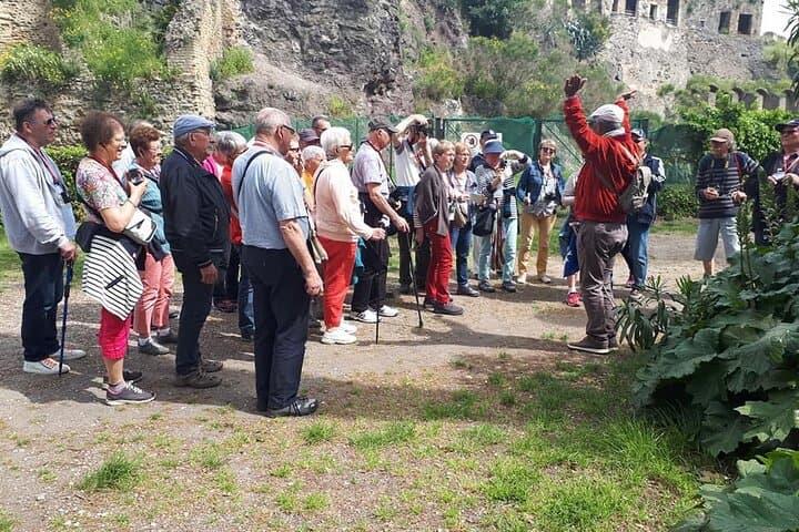 Guided Visit in Pompeii and Mount Vesuvius in Spanish and French