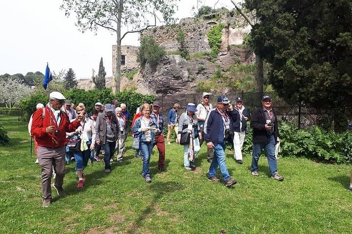 Guided Visit in Pompeii and Mount Vesuvius in Spanish and French