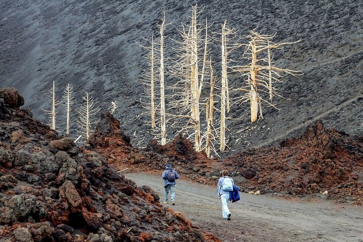Amazing Etna Morning Tour with Pickup and Drop-Off from Catania
