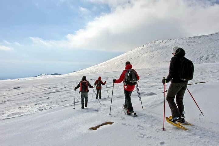 Amazing Etna Morning Tour with Pickup and Drop-Off from Catania