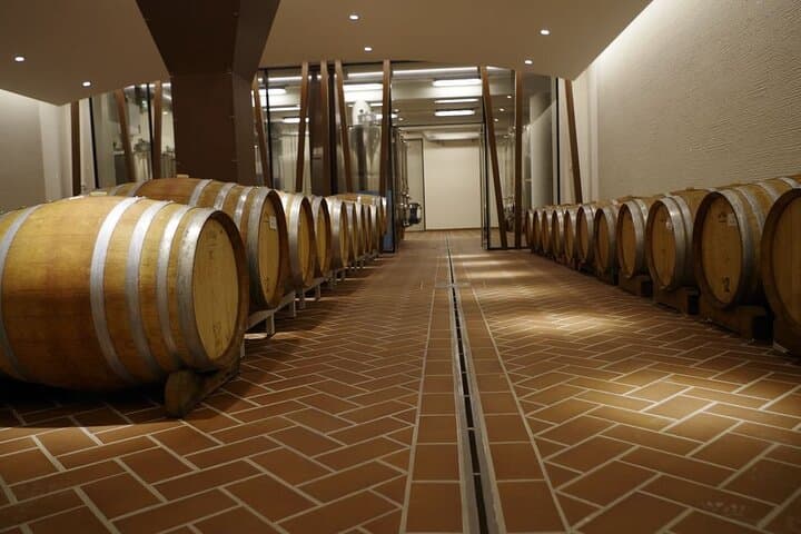 Wine tasting in Bardolino