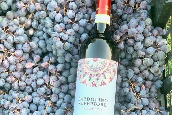Wine tasting in Bardolino