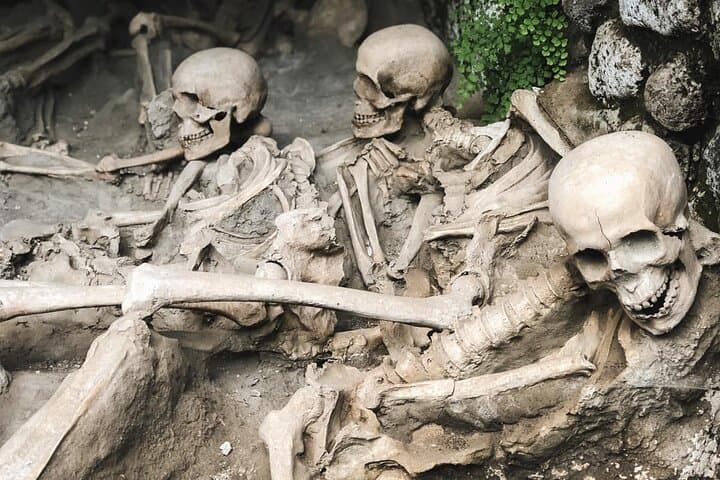 From Naples: Herculaneum Guided Tour & Entrance Ticket Included