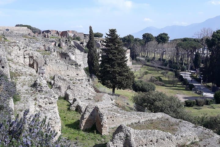 Pompeii: Private Day Tour from Naples