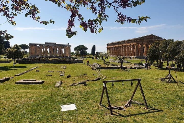 Tour at the Temples and the National Museum of Paestum