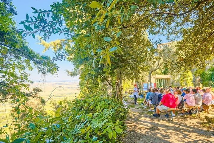 Full Day Tour to Val d'Orcia and Gladiator's Fields with Wines